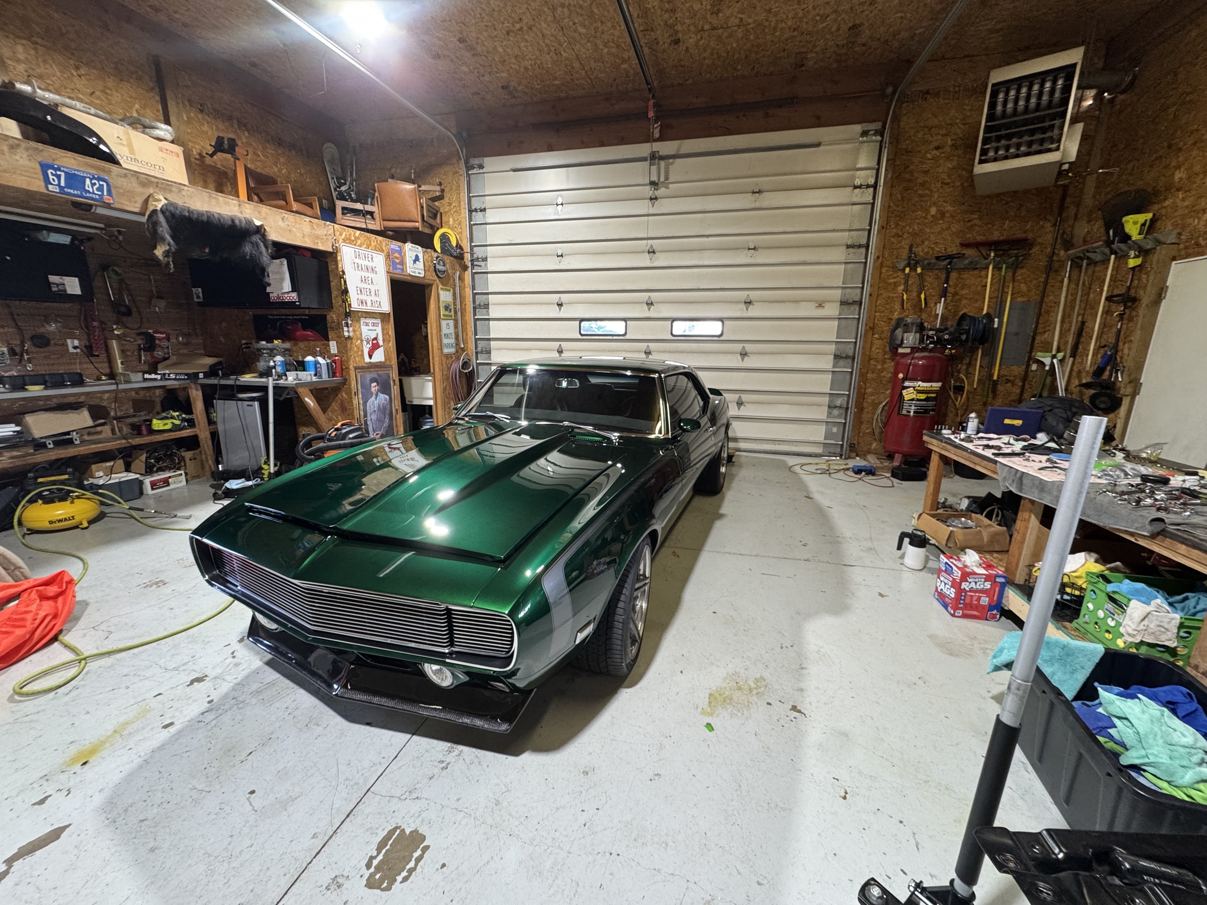 Green Ford — after professional exterior detail