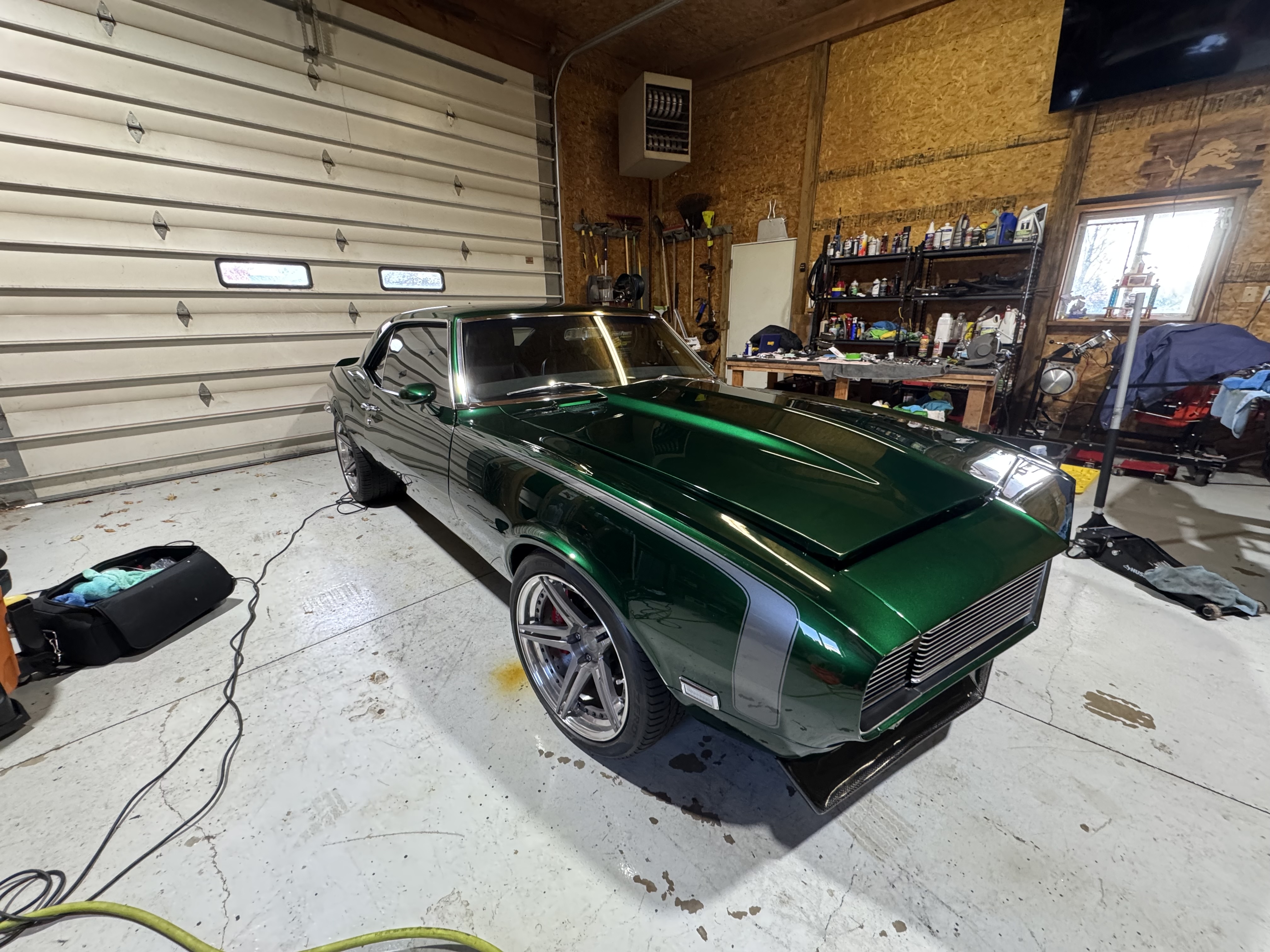 Green Ford — after detailing, detail close-up